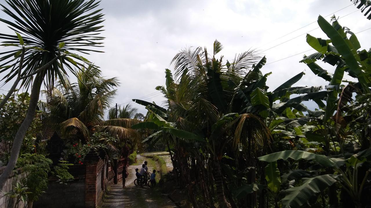 Kasih Sayang House Bed and Breakfast Ubud Exterior foto